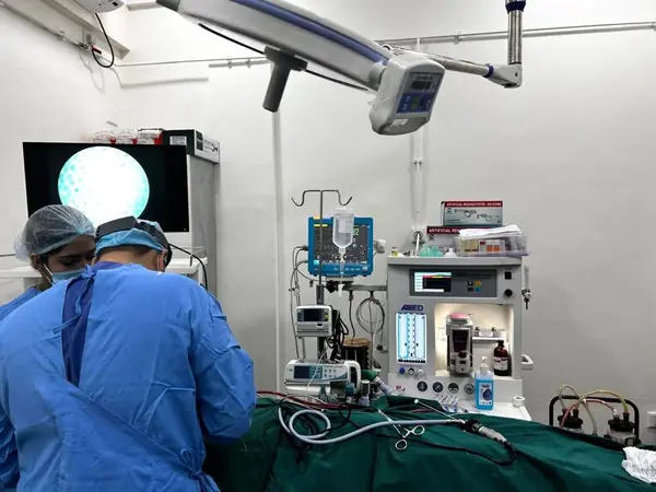 Surgical team monitoring an endoscopic procedure at Excell ENT Clinic